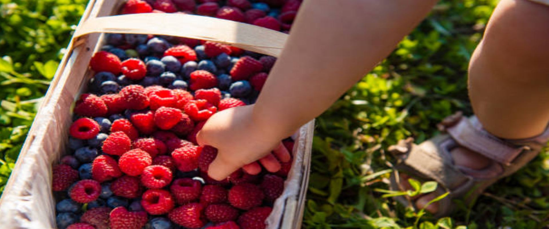 Descripción de la imagen 3