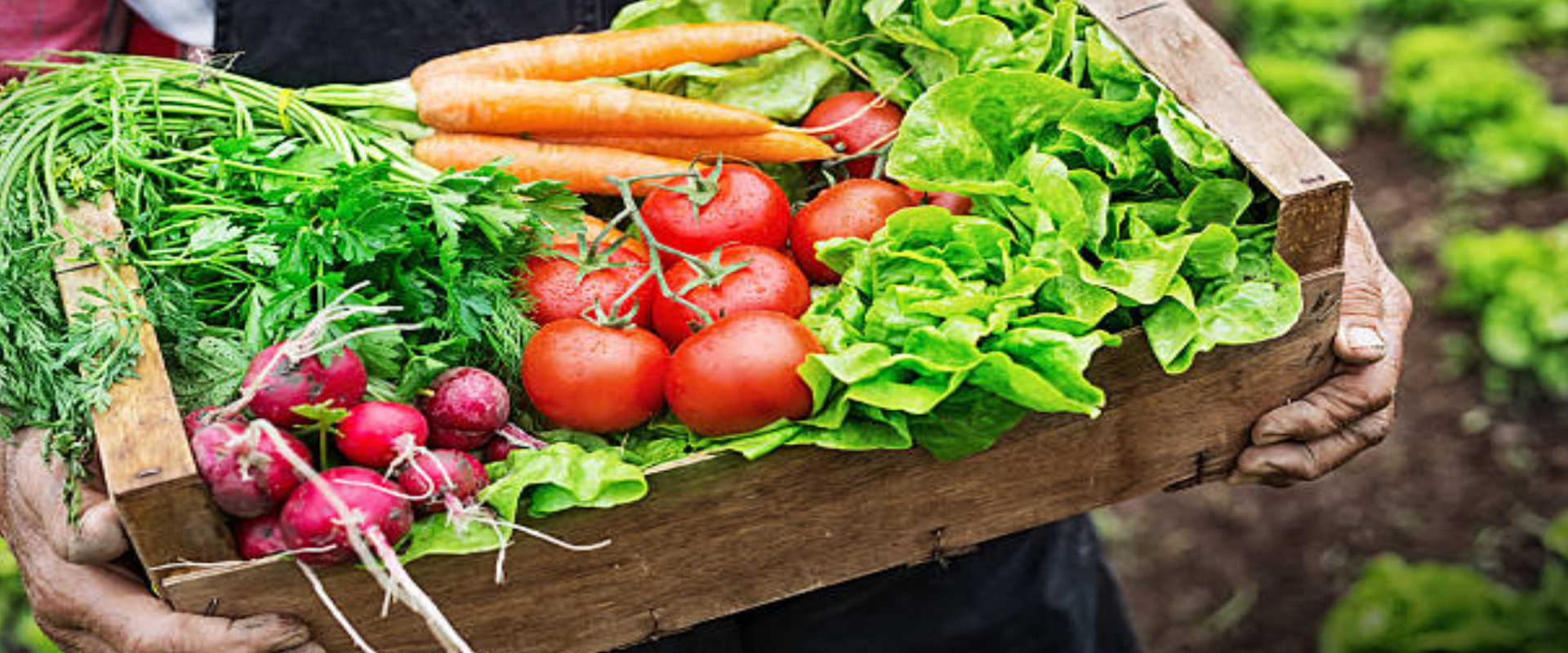 Descripción de la imagen 3